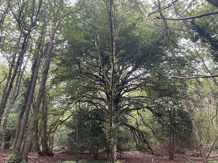 Land For Sale In Wartling Road, Herstmonceux, BN27