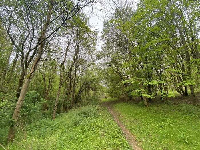 Land For Sale In Stevens Close, Netherbury, Bridport, DT6