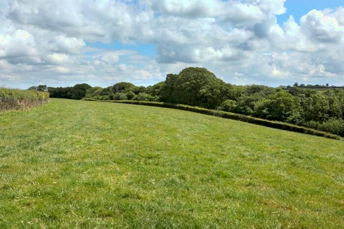 Land For Sale In Land At Ten Oaks [Lot ], Roborough, Winkleigh, Devon, EX19