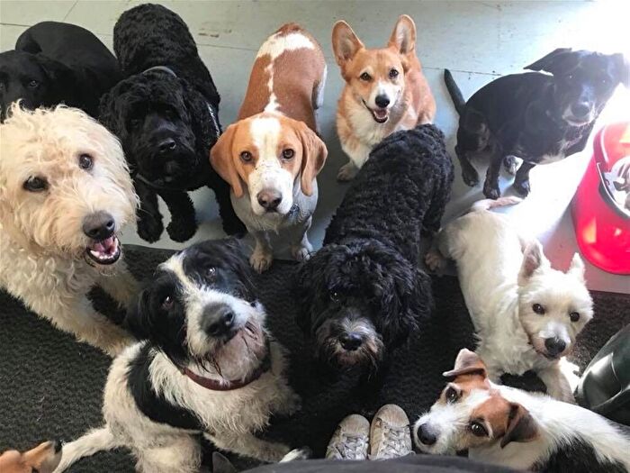 Property For Sale In Opportunity To Acquire A Growing Pet Care Company Based In Leicestershire, Barwell, Leicestershire, LE9