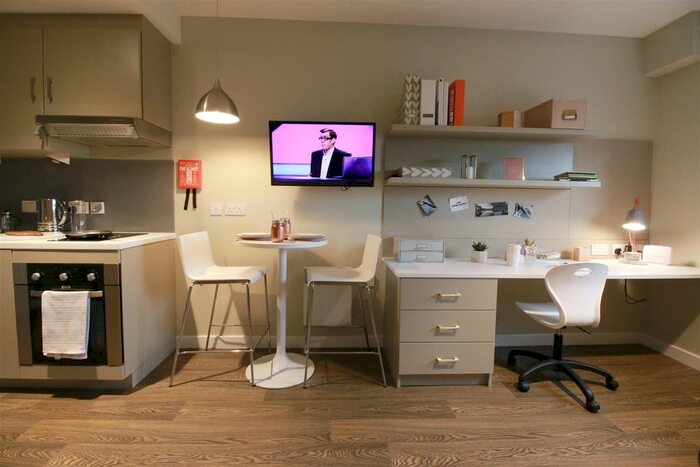 Studio To Rent In Grantham Road, Sandyford, Newcastle Upon Tyne, NE2