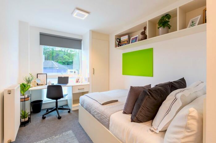 Studio To Rent In Hollingdean Road, Brighton, BN2