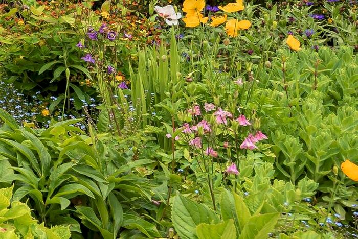 4 Bedroom Bungalow For Sale In Mark, Mark, Highbridge, TA9