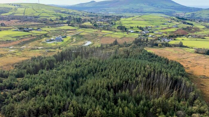 Land For Sale In Nebo Woodland, Nebo, Gwynedd, LL54