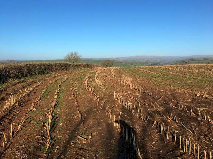 Commercial Land For Sale In Lot 3 - Land Part Higher Dunstone Farm, PL8