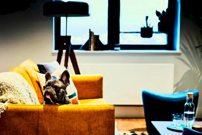 3 Bedroom Flat To Rent In Park Lane, Wembley, London, HA9