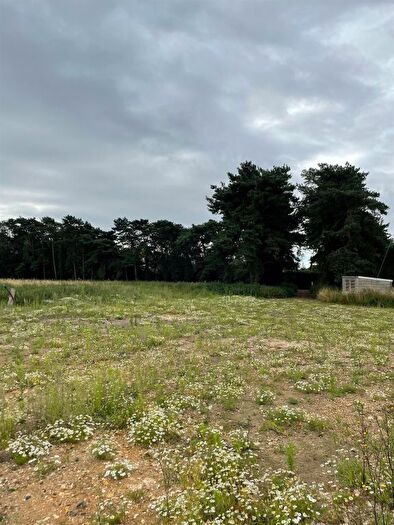 Land For Sale In Fen Road, Redgrave, Diss, IP22
