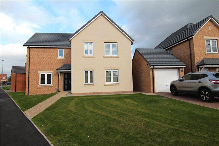 4 Bedroom Detached House To Rent In Rushyford Drive, Chilton, Ferryhill, Durham, DL17