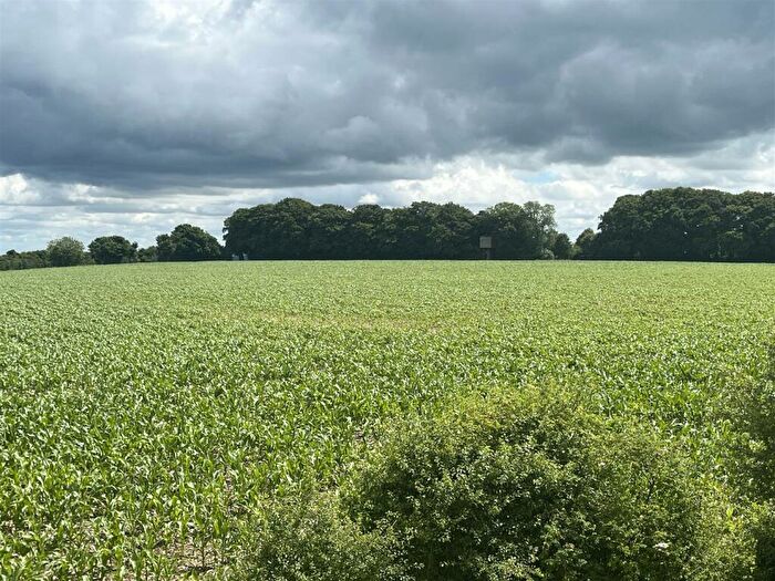 Land For Sale In Hindon, Salisbury, SP3