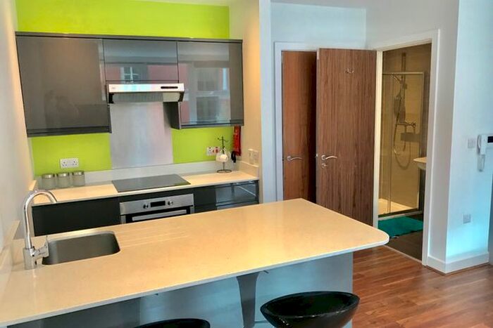 Studio To Rent In Pomona Street, Sheffield S11