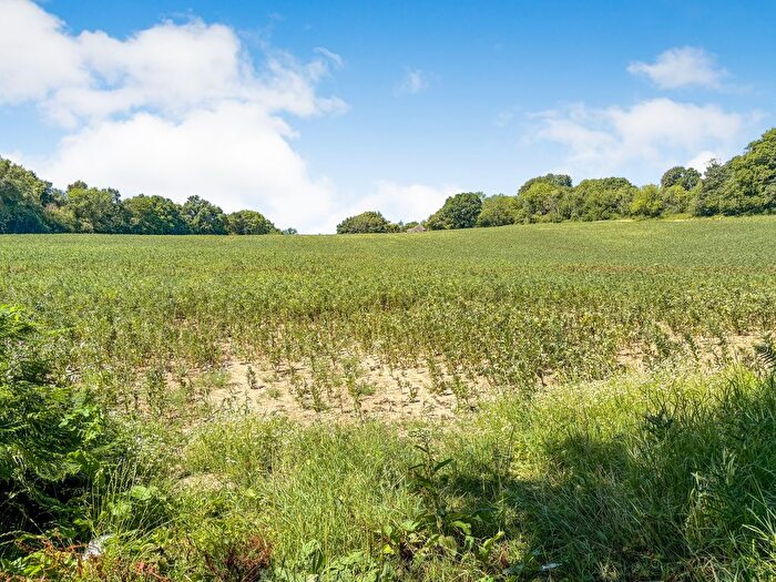 Land For Sale In Riccards Lane, Whatlington, TN33