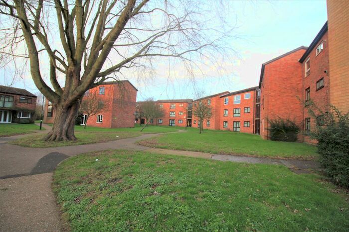 3 Bedroom Flat To Rent In Pippin Green, Norwich, NR4