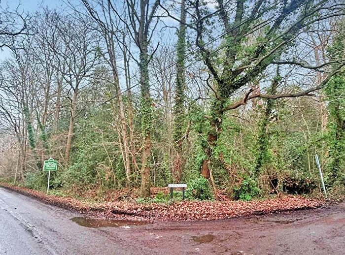 Land For Sale In Long Reach, Ockham, Woking, GU23