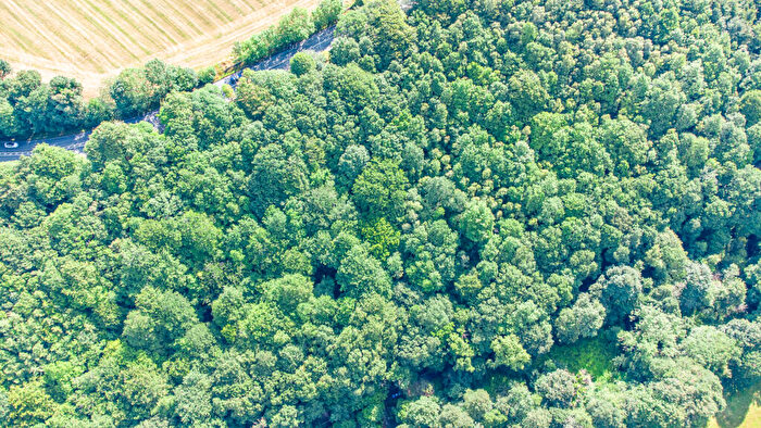 Land For Sale In Dam Hil, Shelley, Huddersfield, HD8