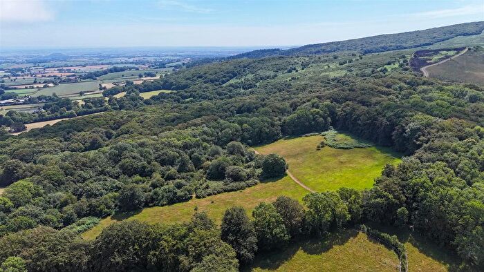 Land For Sale In Holford, Bridgwater, TA5