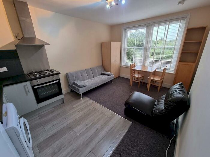 Studio To Rent In Rosendale Road, London, SE24