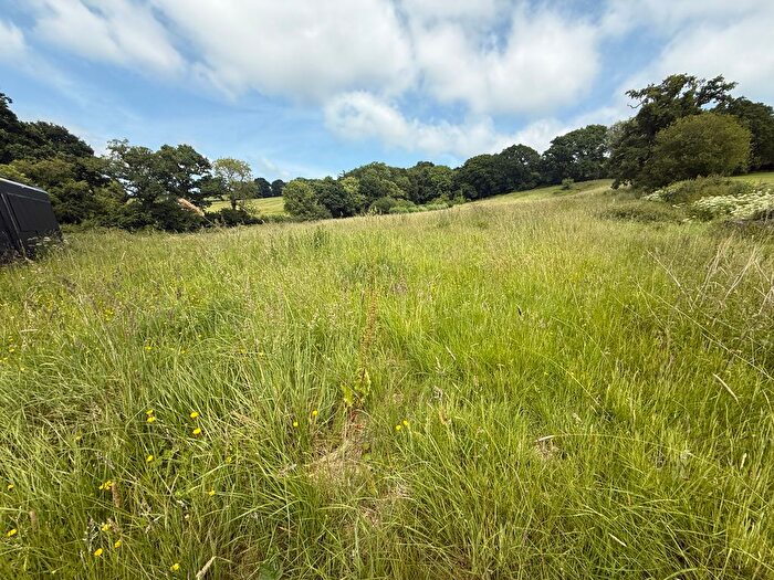Land For Sale In Millrise, Luppitt, EX14