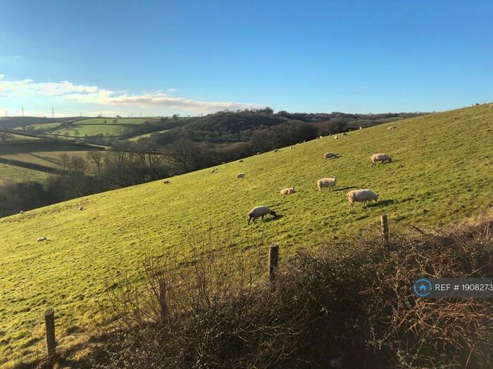 6 Bedroom Detached House To Rent In Lletycaru Fawr, Carmarthen, SA32