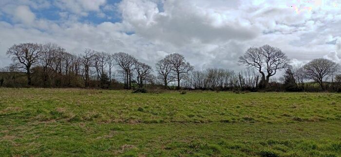 Land To Rent In Harberton, Totnes, TQ9