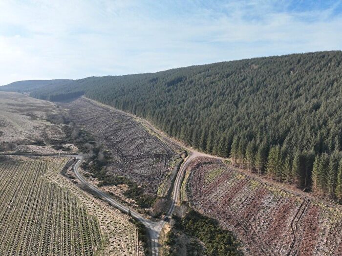 Land For Sale In Glen Of Noth Forest, Aberdeenshire, AB54