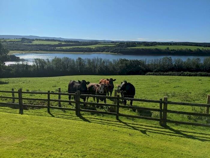 3 Bedroom Detached House To Rent In Germansweek, Beaworthy, EX21