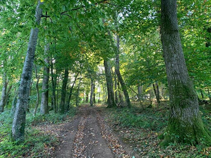 Farm Land For Sale In Drewsteignton, Exeter, EX6