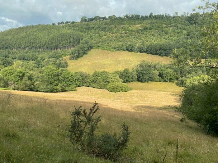 Land For Sale In Halfway, Llandovery, Carmarthenshire., SA20
