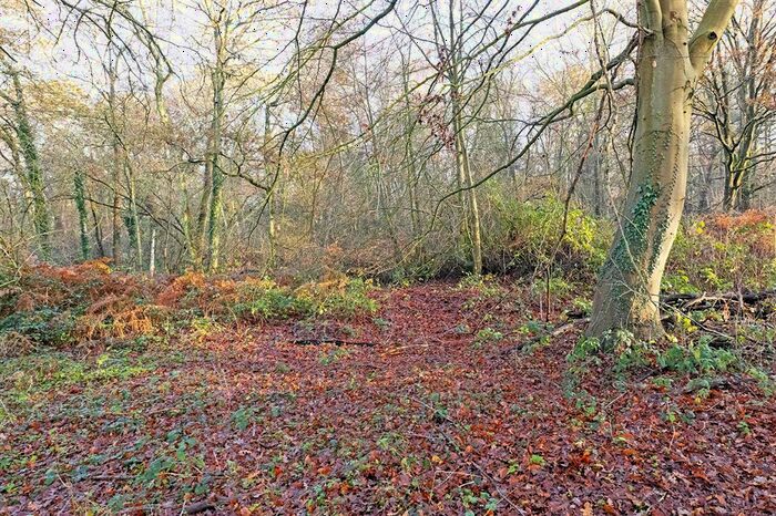 Land For Sale In Redhill Road, Cobham, KT11