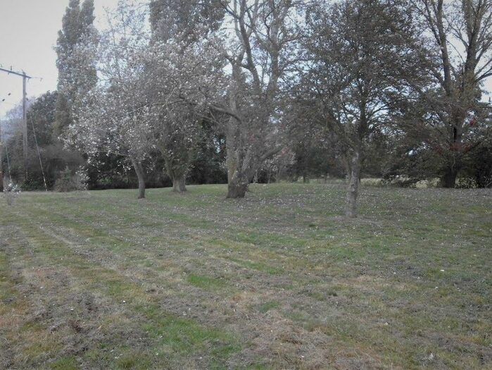 Land For Sale In Land (Plot ), Off Ling Road, Palgrave, Diss, Norfolk, IP22