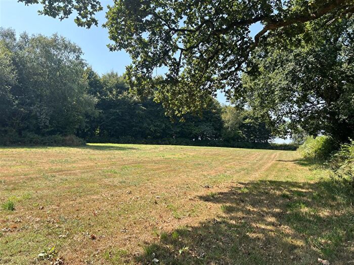 Land For Sale In Land At Combpyne Station, Combpyne, Axminster, DT7