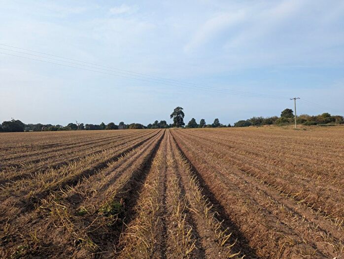 Land For Sale In Saxmundham, Suffolk, IP17