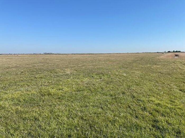 Farm Land For Sale In Grazing Marsh, Acle New Road, Great Yarmouth, Norfolk, NR30