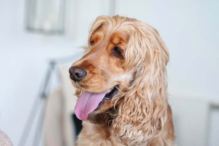 2 Bedroom Flat To Rent In Fizzy Lewisham, River Mill Two, Lewisham, SE13