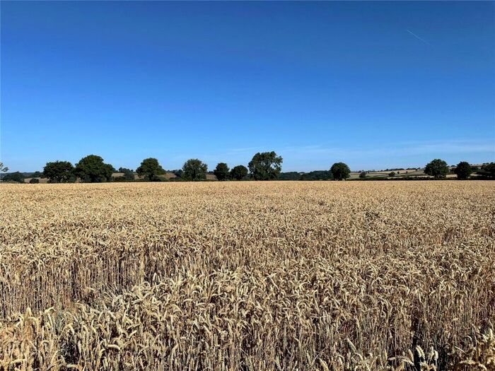 Land For Sale In Membury, Axminster, Devon, EX13