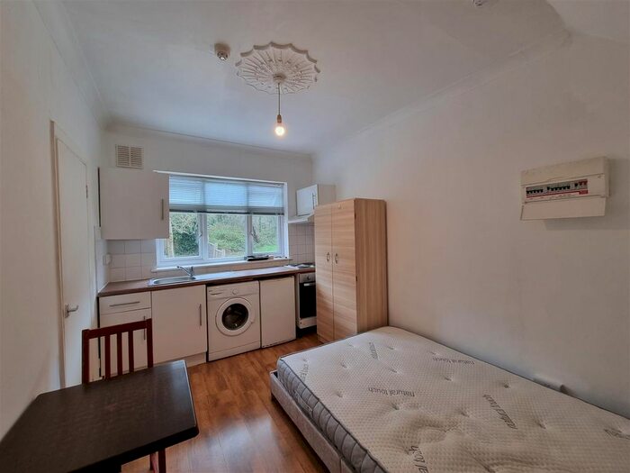 Studio To Rent In Alexandra Park Road, London, N22