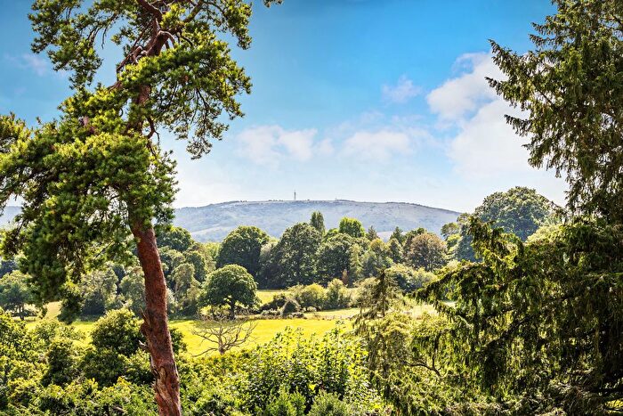 4 Bedroom Semi-Detached House For Sale In Stoner Hill, Steep, Hampshire, GU32