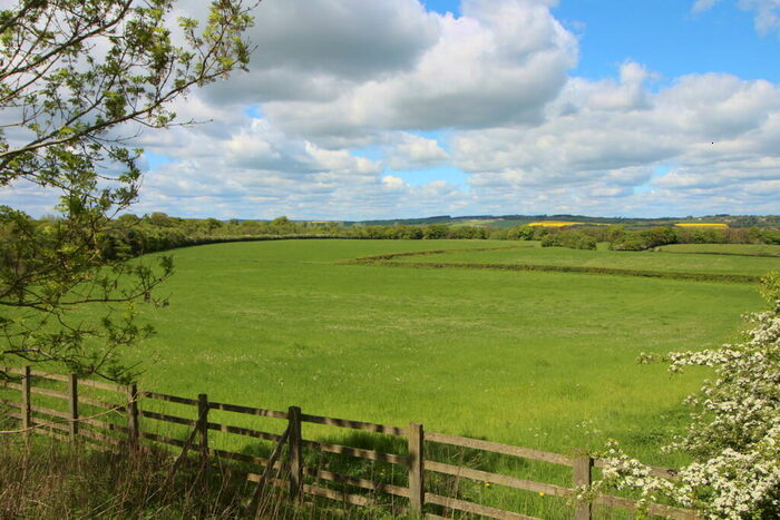 Farm Land For Sale In Land At Bradley Hall, NE41