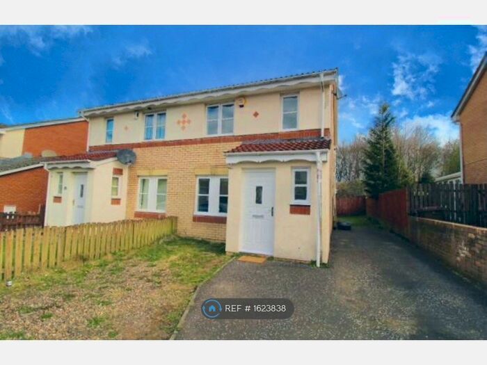 3 Bedroom Semi-Detached House To Rent In Murray Crescent, Newmains, Wishaw, ML2