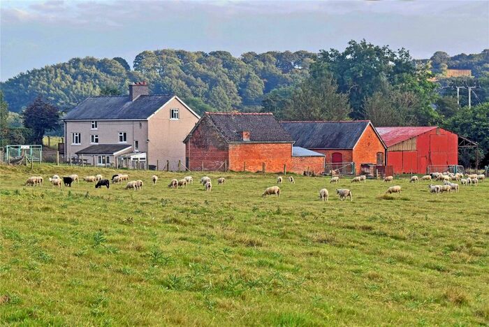 6 Bedroom Detached House For Sale In Newtown, Powys, SY16