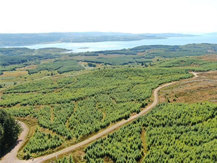 Land For Sale In Achnaba Forest, Lochgilphead, Argyll And Bute, PA31