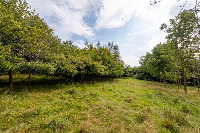 Land For Sale In Wells, BA5
