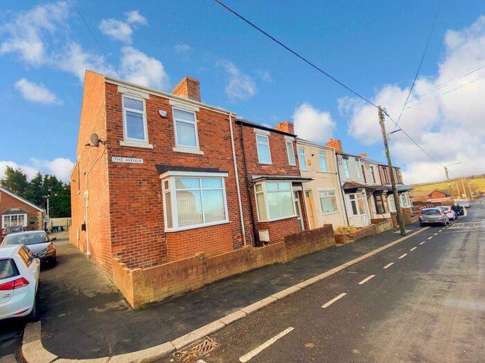 3 Bedroom Terraced House To Rent In The Avenue, Wheatley Hill, Durham, Co Durham, DH6
