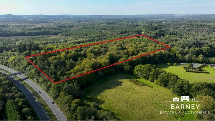 Land For Sale In Land At Holm Hills Woodland, Conford, Liphook, East Hampshire, GU30