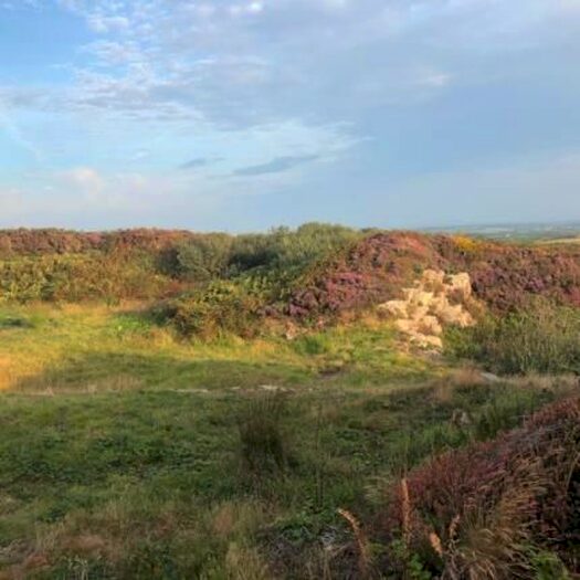 Equestrian Property For Sale In Penzance, Cornwall TR20