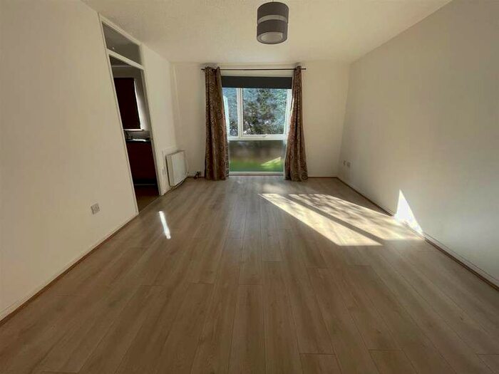 1 Bedroom Flat To Rent In Carnarvon Road, London, E15