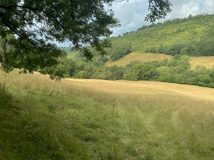 Land For Sale In Halfway, Llandovery, Carmarthenshire., SA20