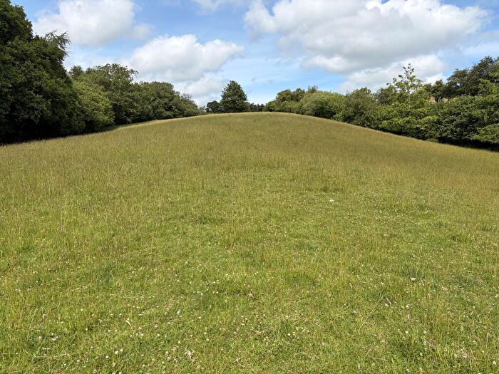 Land For Sale In Pontfaen, Brecon, Powys ., LD3