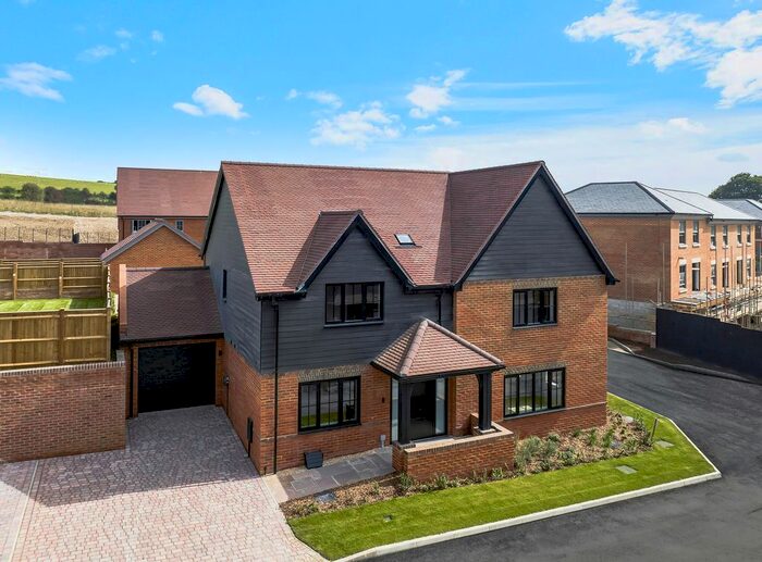 3 Bedroom Semi-Detached House To Rent In Allingham Place, Brighton, BN2