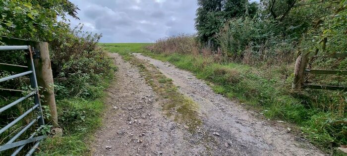 Land For Sale In Roadways At Baydon, Marlborough, SN8