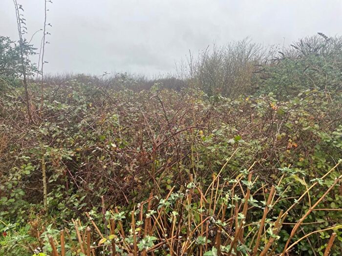 Property For Sale In Land Adjacent Penzance Park Amp; Ride, Long Rock, Penzance, Cornwall, TR18